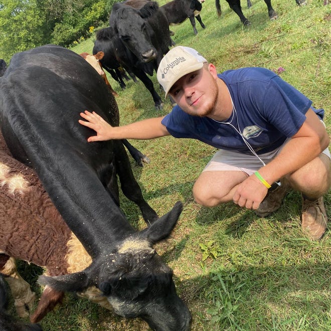 Will Warner, 22, squats down and pets a cow as it leans down to eat grass in this Facebook profile photo. The Shelbyville resident was found fatally shot Friday in West Nashville.