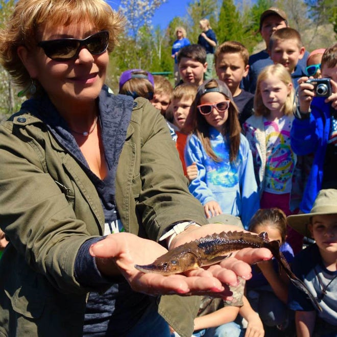 This coming weekend, people will be able to take tours of the Michigan Department of Natural Resources and Sturgeon for Tomorrow fish hatchery near the Black River in Onaway, to learn more about the prehistoric fish. There will then be fingerling sturgeon released later that day. 