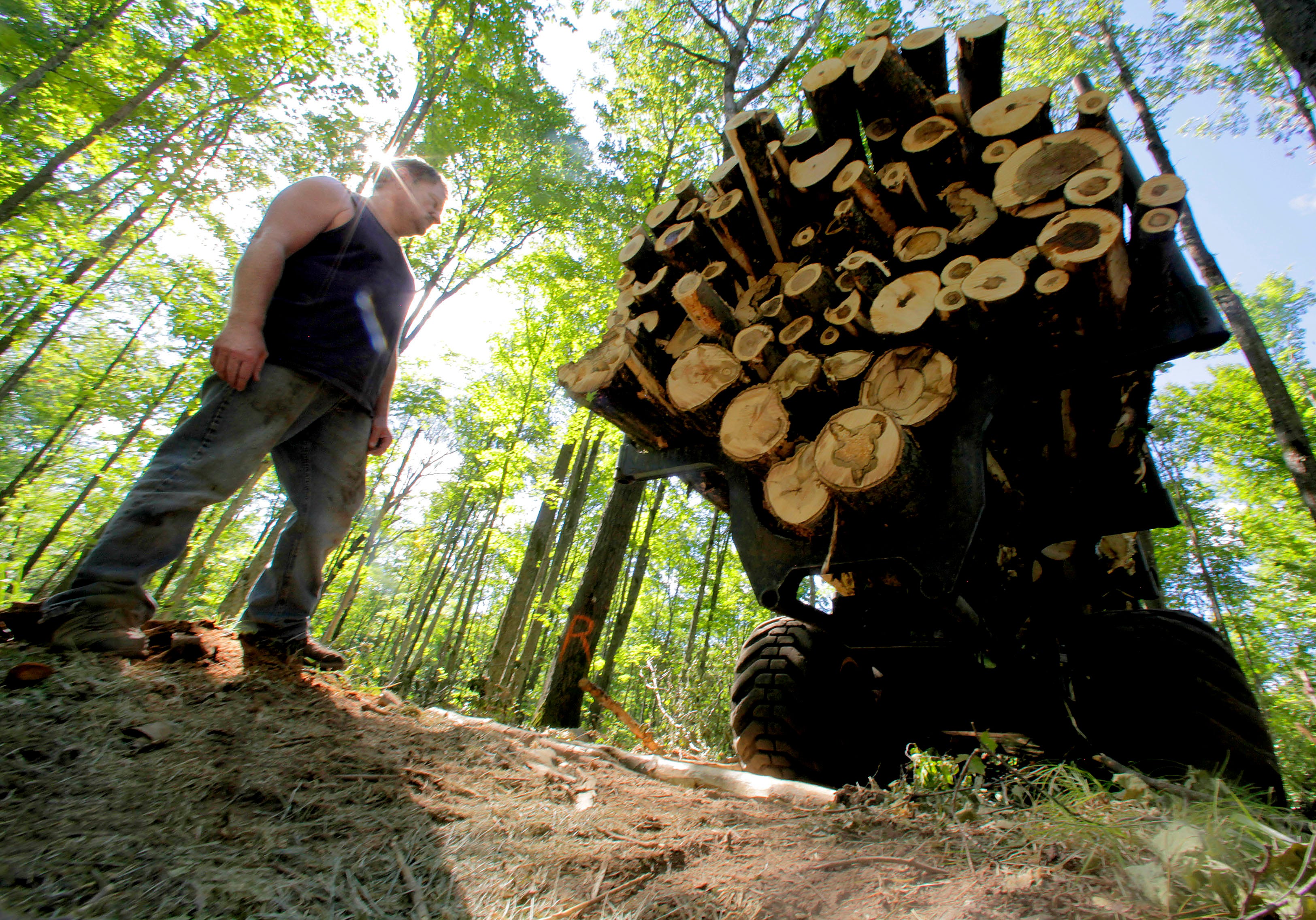 Paper Pixel - ÊPark Falls Mill - logging - Wisconsin -Ê  Mike Ziembo, an owner and operator for Phil Thums Harvesting stands next to a forwarder, which picks up cut logs, stacked full of freshly cut trees in the Chequamegon National ForestÊin northern Wisconsin on Tuesday, August 7, 2012.Ê Photo by Mike De Sisti / MDESISTI@JOURNALSENTINEL.COM