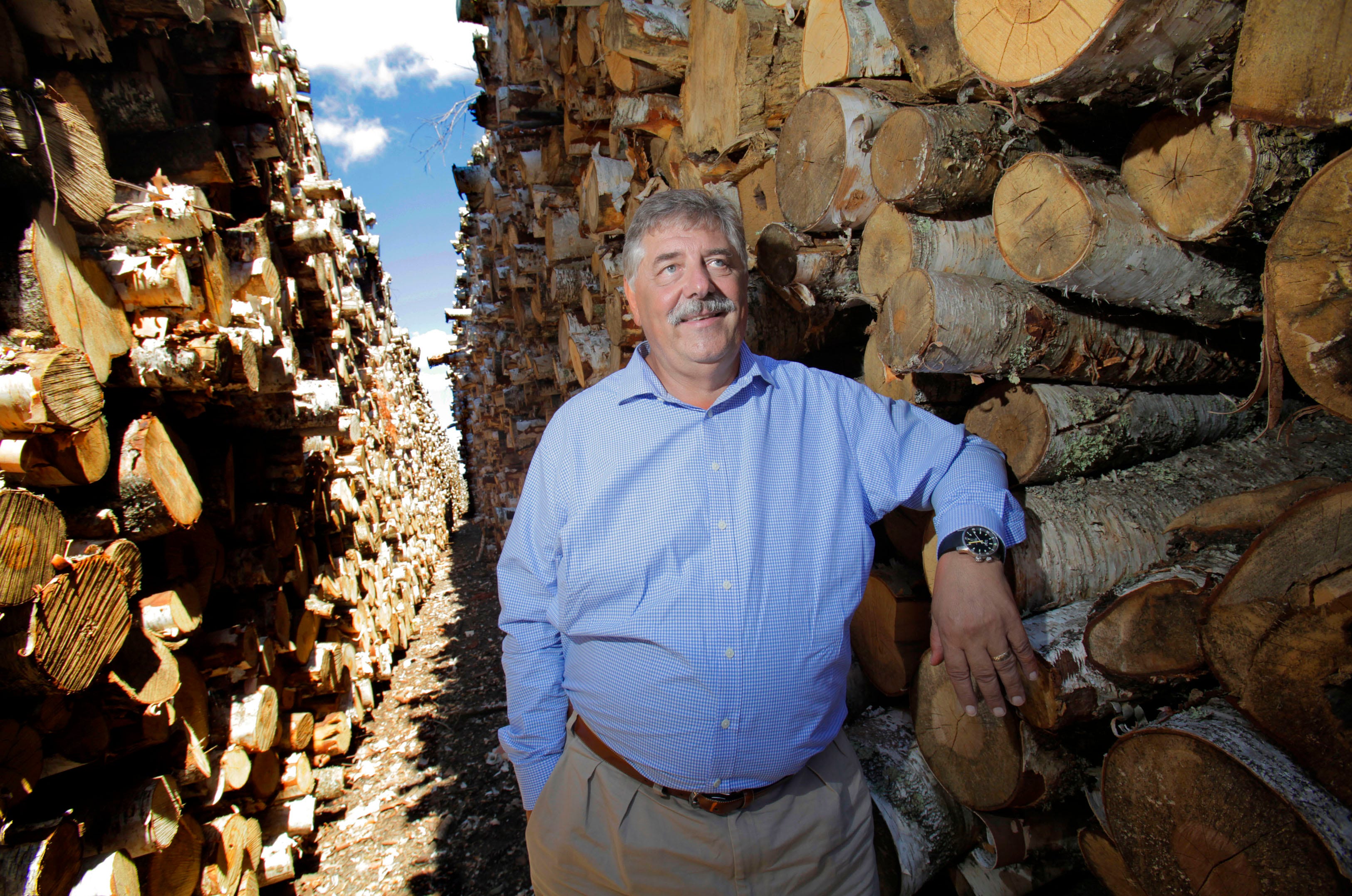 Butch Johnson, CEO of Flambeau River Paper, stands among the rows of cut logs ready to made into paper at the Flambeau River Paper mill in Park Falls, WI. August 7, 2012