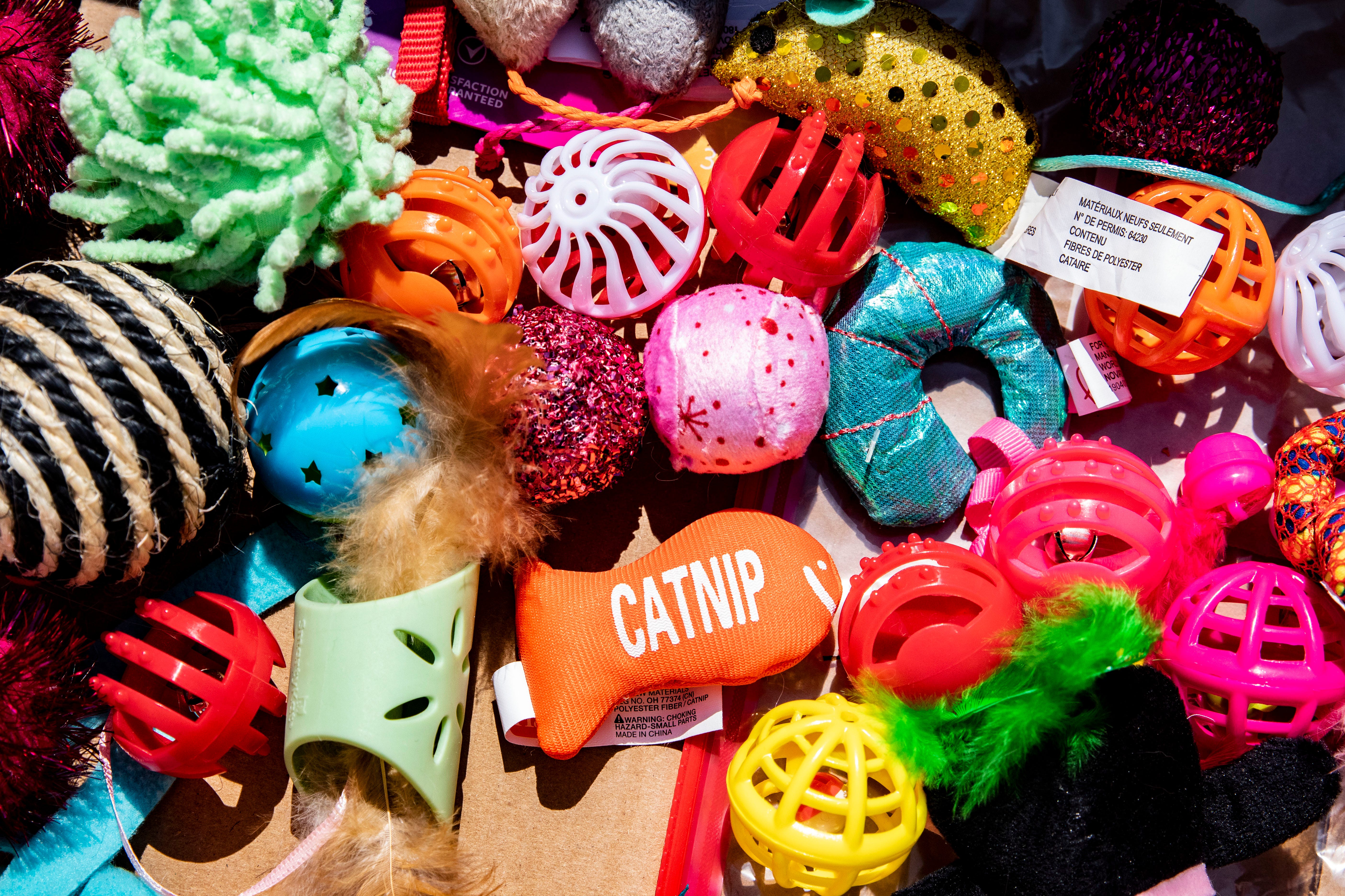 How Menards shoppers can help local pets in need