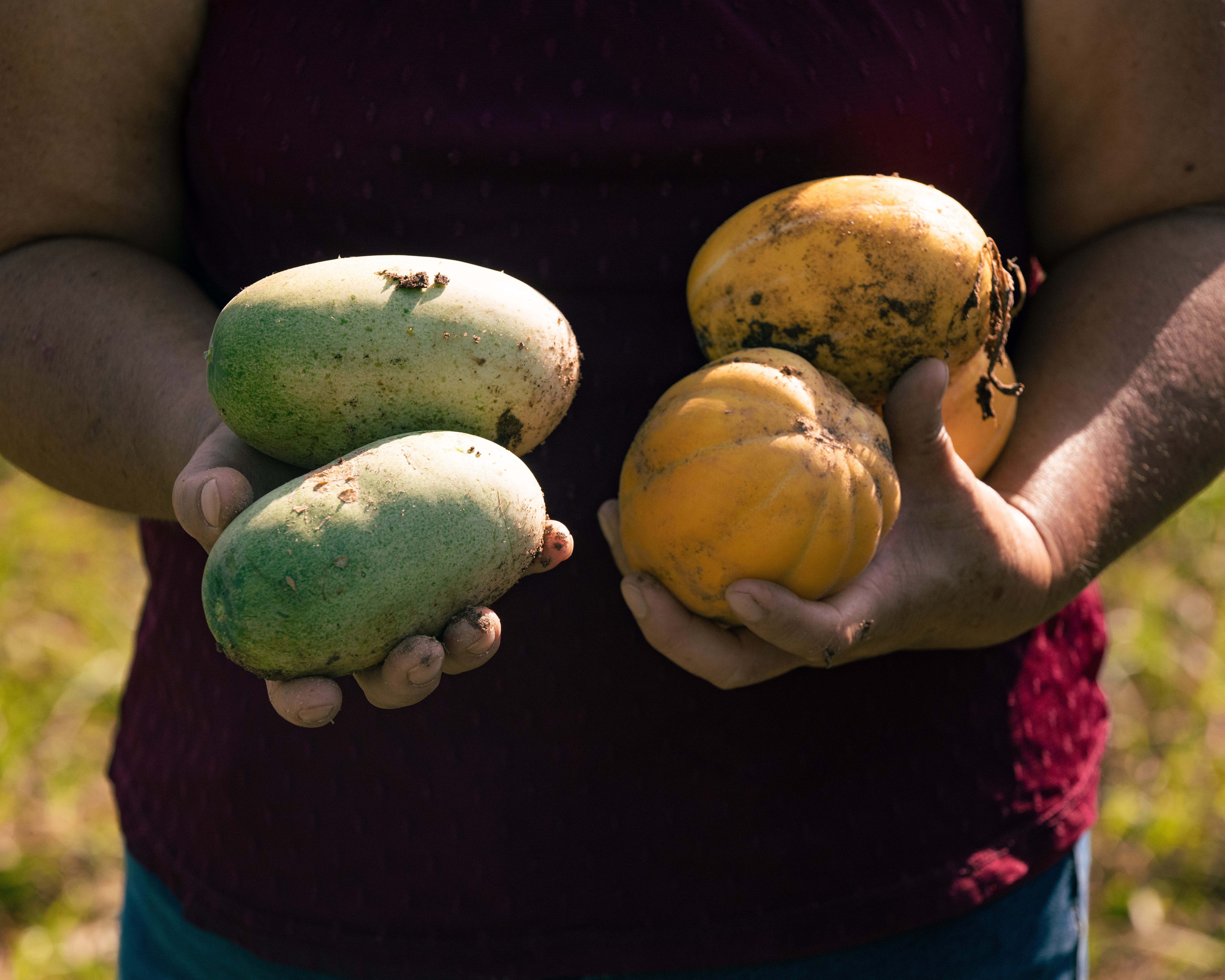 Chue Lee of Lee's One Fortune Farm holds melons and cucumbers grown on her property in Morganton.