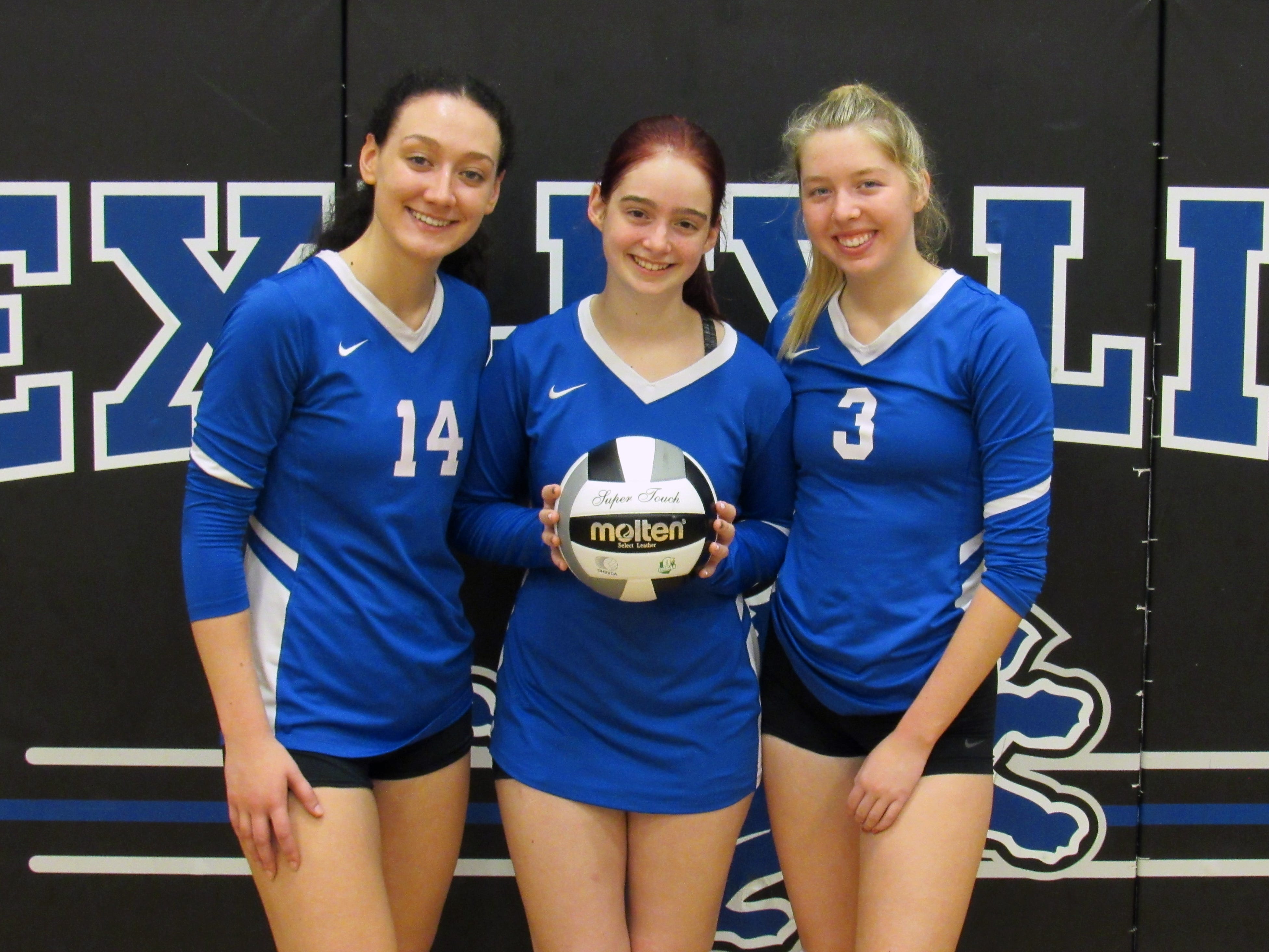 Girls Volleyball Seniors Setting High Standards For Bexley Lions
