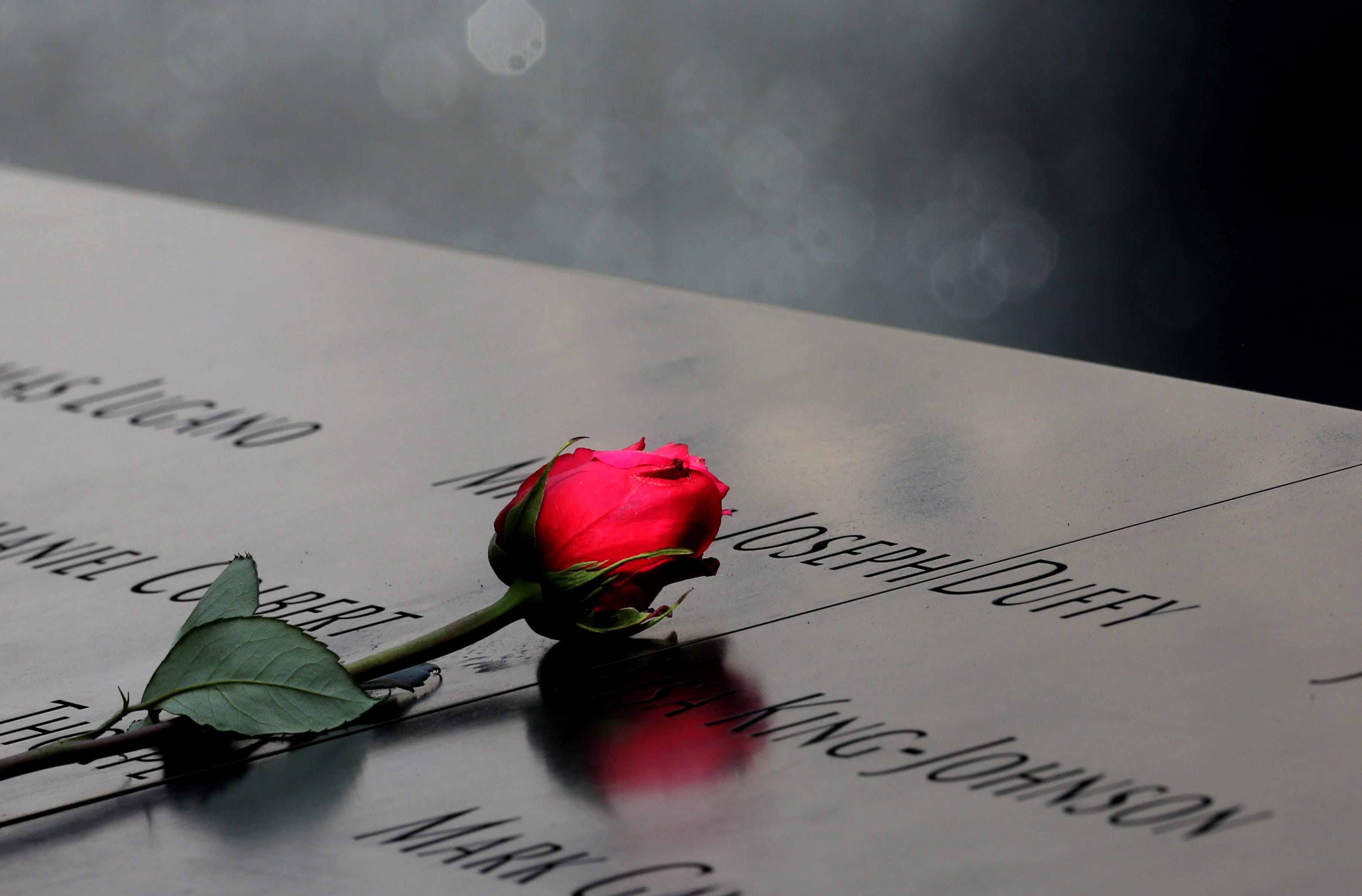 A rose sits atop names engraved around the reflecting pools at the 9/11 Memorial during a ceremony marking the 15th anniversary of the attacks.