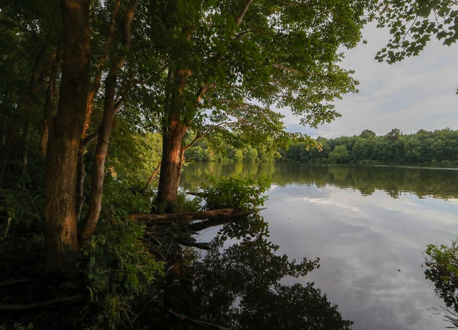 Late day sun hits trees along the waterline at Lums Pond State Park, Saturday, August 21, 2021.