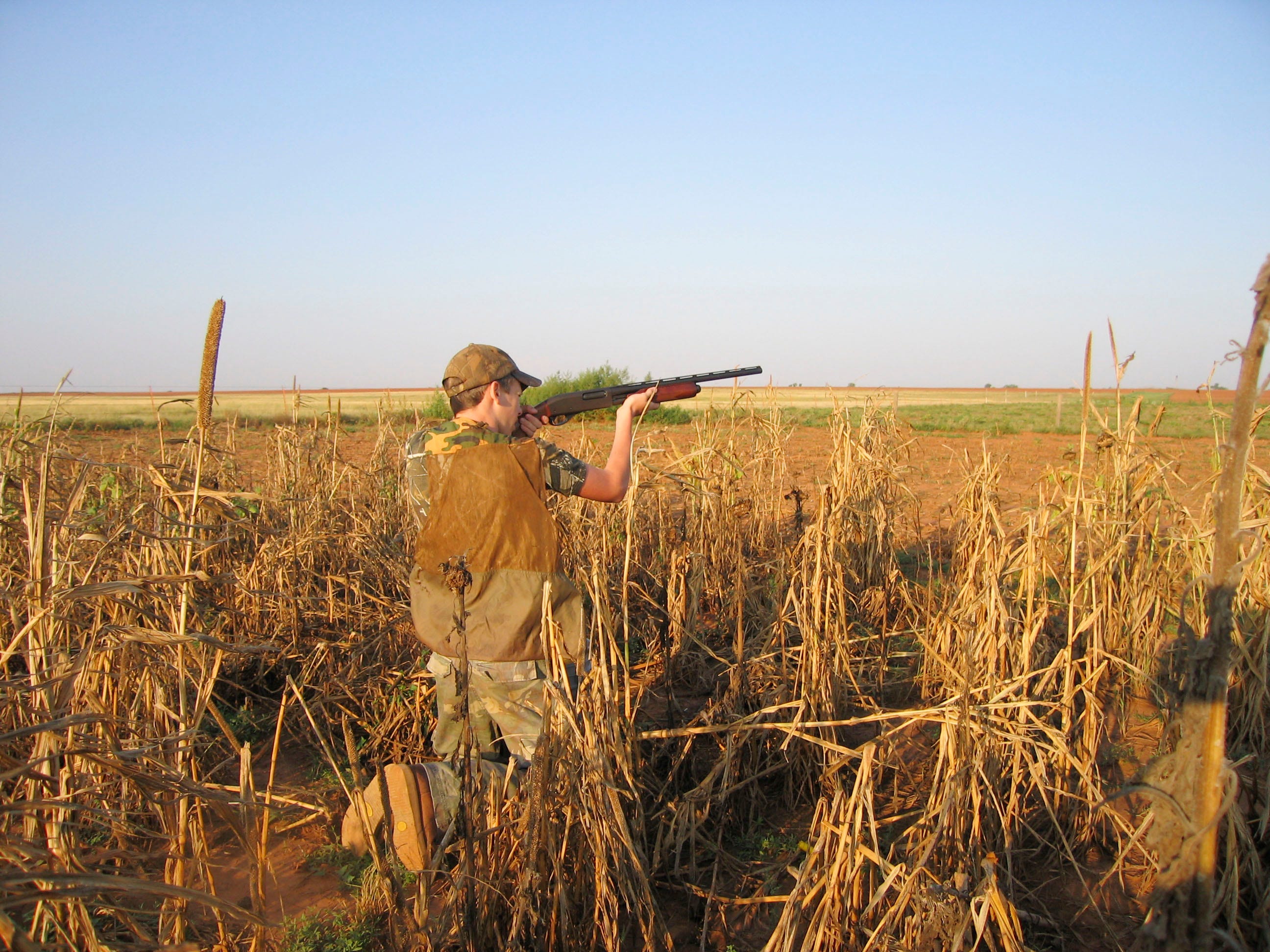 Oklahoma outdoors Dove hunting season nears, but where are the birds