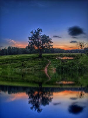 Sikena Khadija's photography is on view in her open studio during Art Walk Kingston.