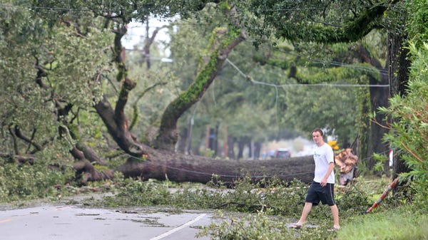 A tree blocks Nashville Avenue in the aftermath of