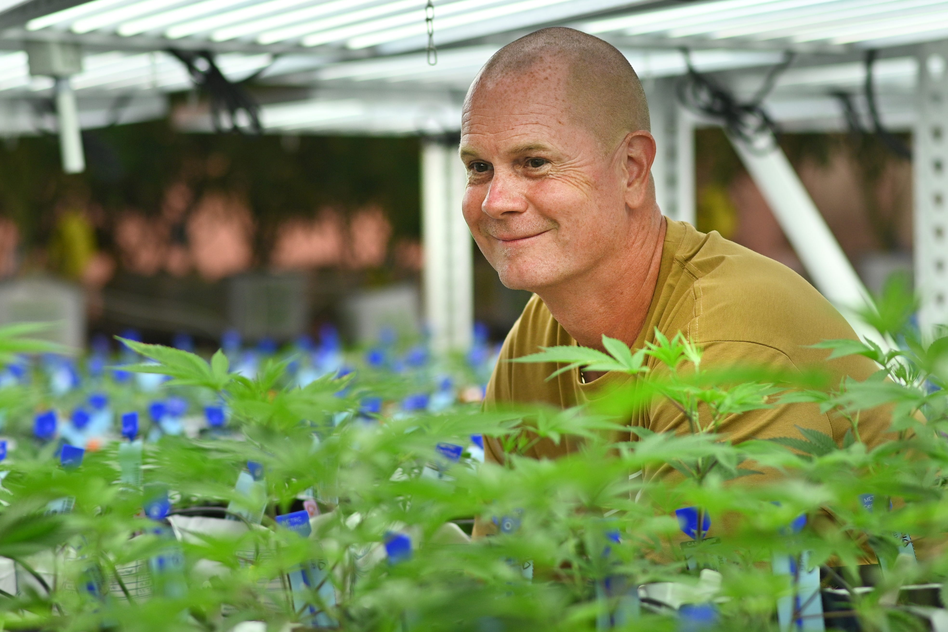 Rick Wershe in Pleasantrees Nursery in Harrison Township on Wednesday September 1st, 2021. Wershe is partnering with the company and launching its own product brand.