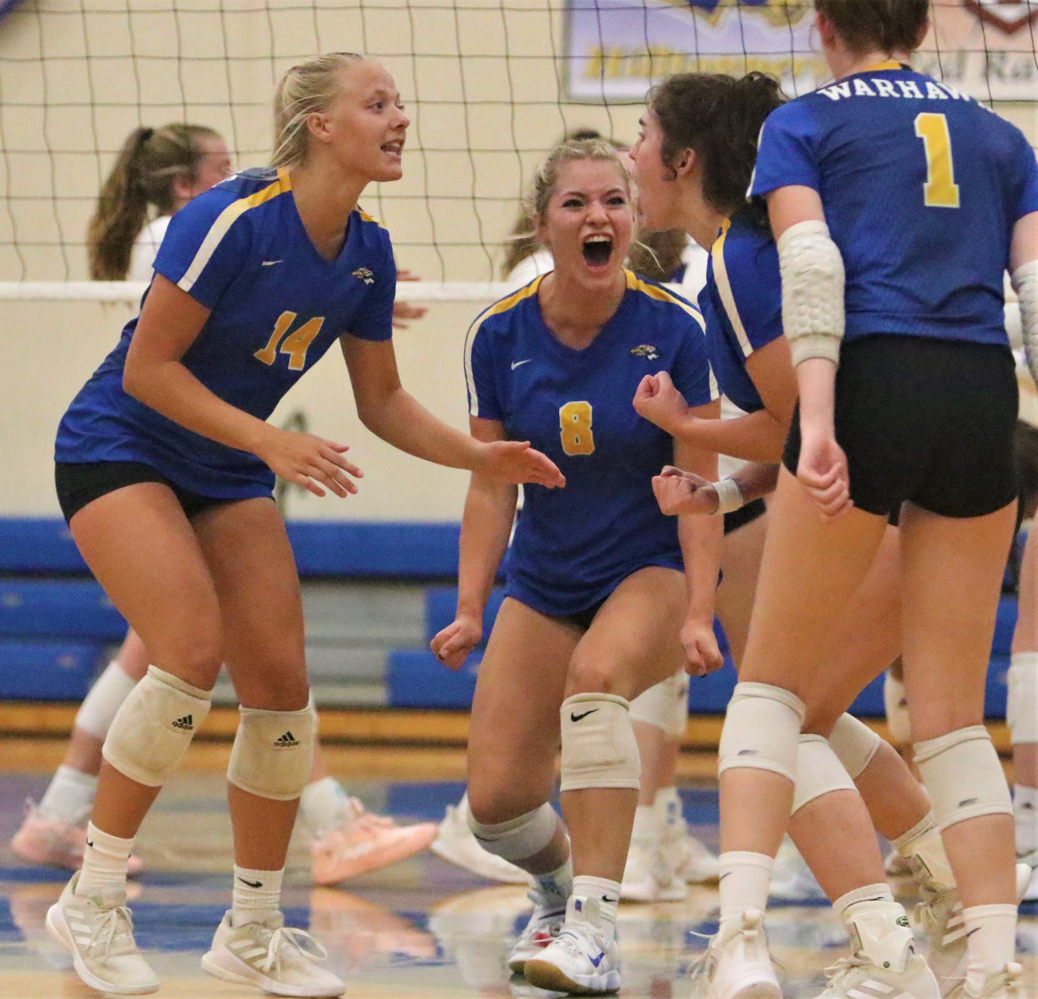 High school girls volleyball: Milwaukee-area rankings, DSHA now No. 1