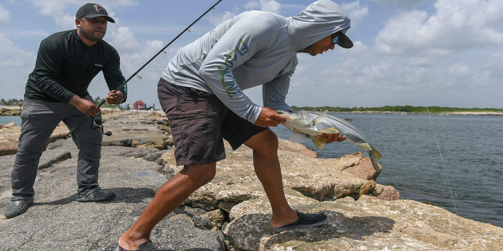 Snook harvest closed until Feb. 1, but they are still chewing for catch & release Snook harvest closed until Feb. 1, but they are still chewing for catch & release