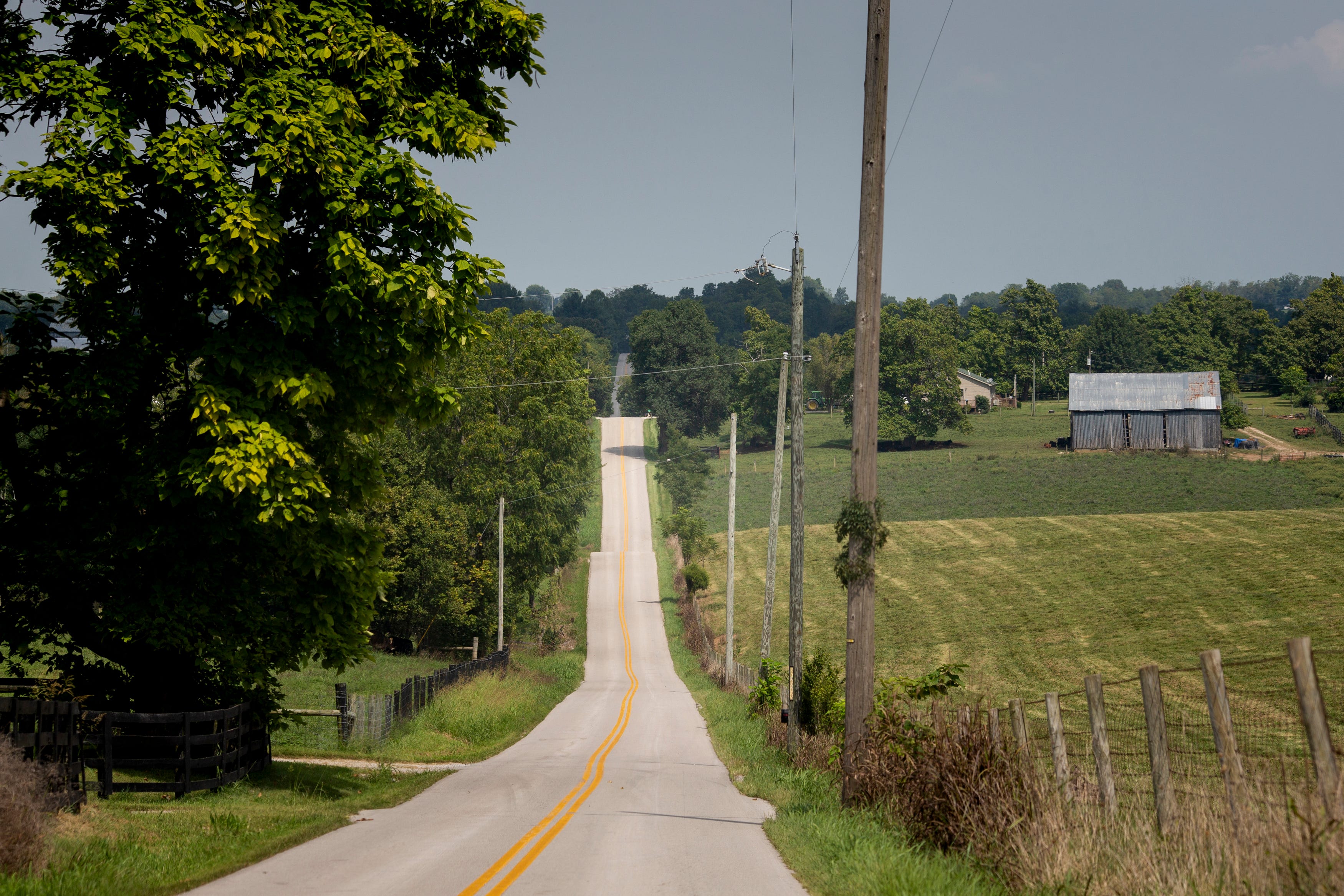 Farmers along Ruddles Mill Road in Harrison County, Ky., have signed leases to convert 1,784 acres for a solar array as part of Recurrent Energy's Blue Moon project. Photographed on Wednesday, August 25, 2021. 