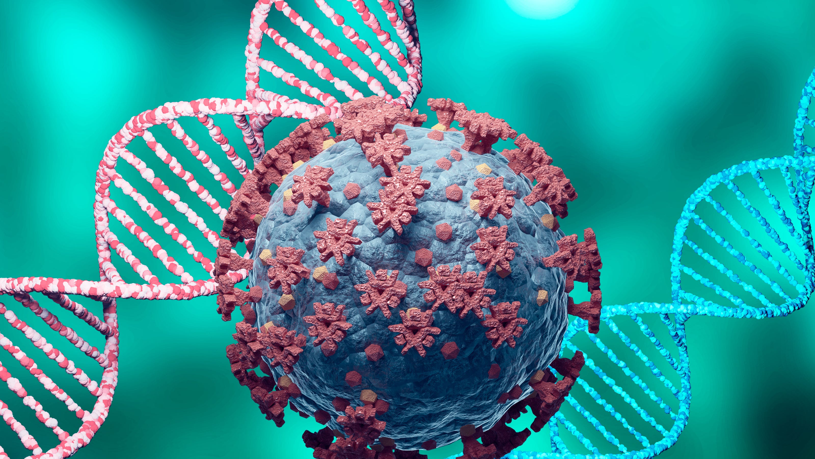 New COVID-19 cases down, hospitalizations up in Iowa’s weekly coronavirus data update New COVID-19 cases down, hospitalizations up in Iowa’s weekly coronavirus data update