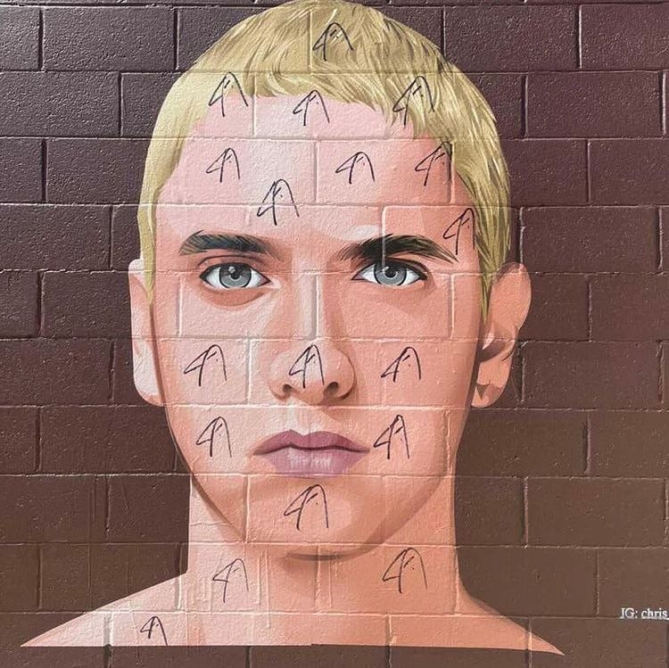 Eminem's Mural Defaced With Birds