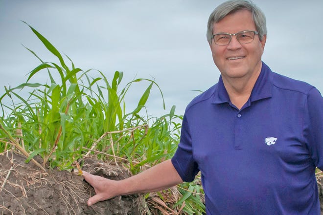 Kansas State University’s distinguished professor of soil microbiology Charles Rice has been studying soil nutrient and carbon cycling for 32 years. “You can add compost to the soil, but then you’ll lose a lot of that carbon depending on the management you use,” he said recently.