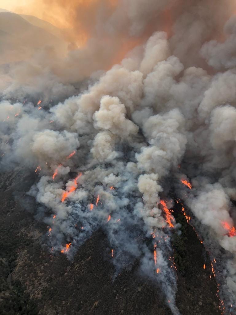 An aerial view of the McFarland Fire posted by the U.S. Forest Service on Aug. 25, 2021