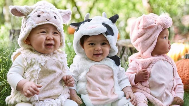 Celebrate your baby's Halloween with the cutest Halloween costumes.