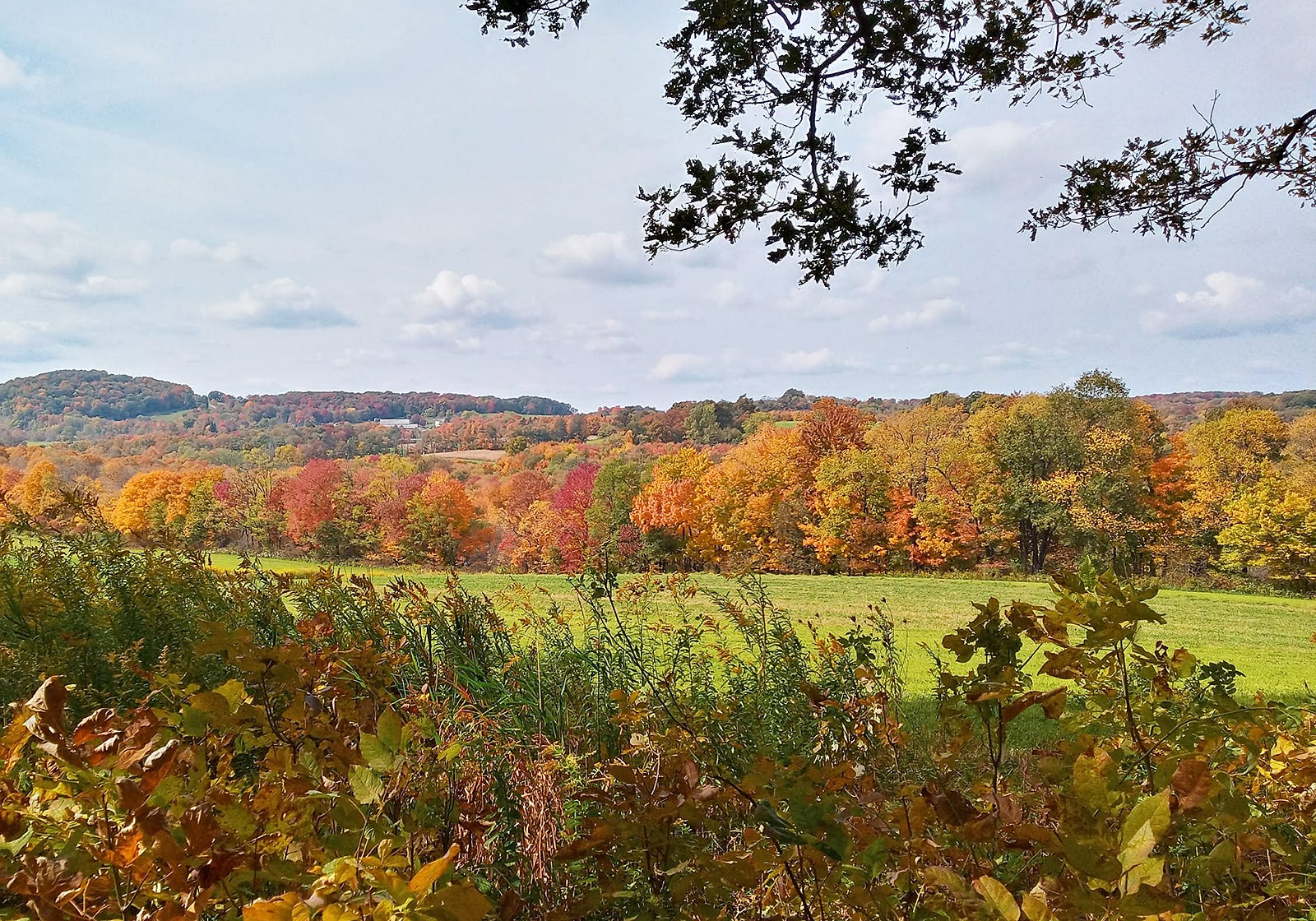 Fall foliage 2021: Pennsylvania will see a colorful display
