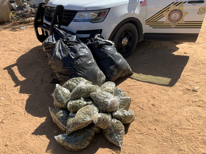 San Bernardino County sheriff's officials arrested 41 people in a string of search warrants at illegal cannabis-cultivation sites in the High Desert between Monday, Sept. 6, and Friday, Sept. 10, 2021.