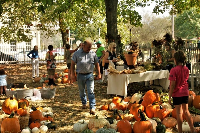 Festival goers peruse the wares of vendors at the Ag Day at Jordbruksdagarna