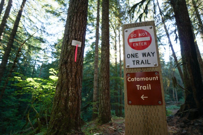 A marker for the Catamount Trail in Silver Falls State Park