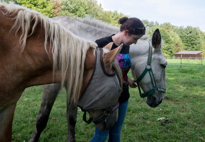There is animal cruelty in Portage County, but victims have friends