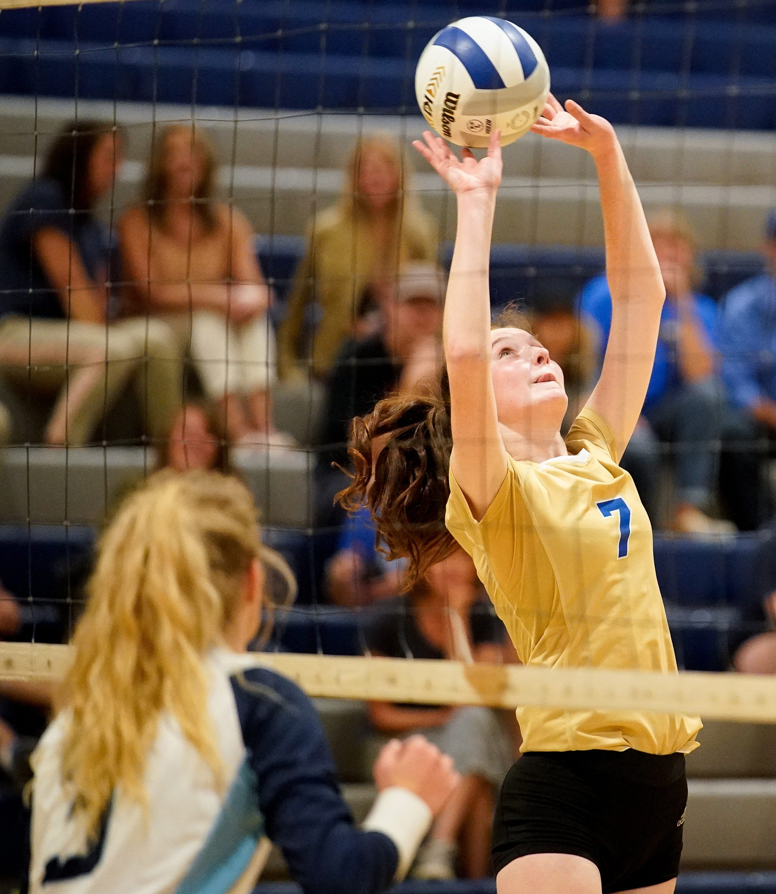 Middle Tennessee High School Sports Awards The Tennessean