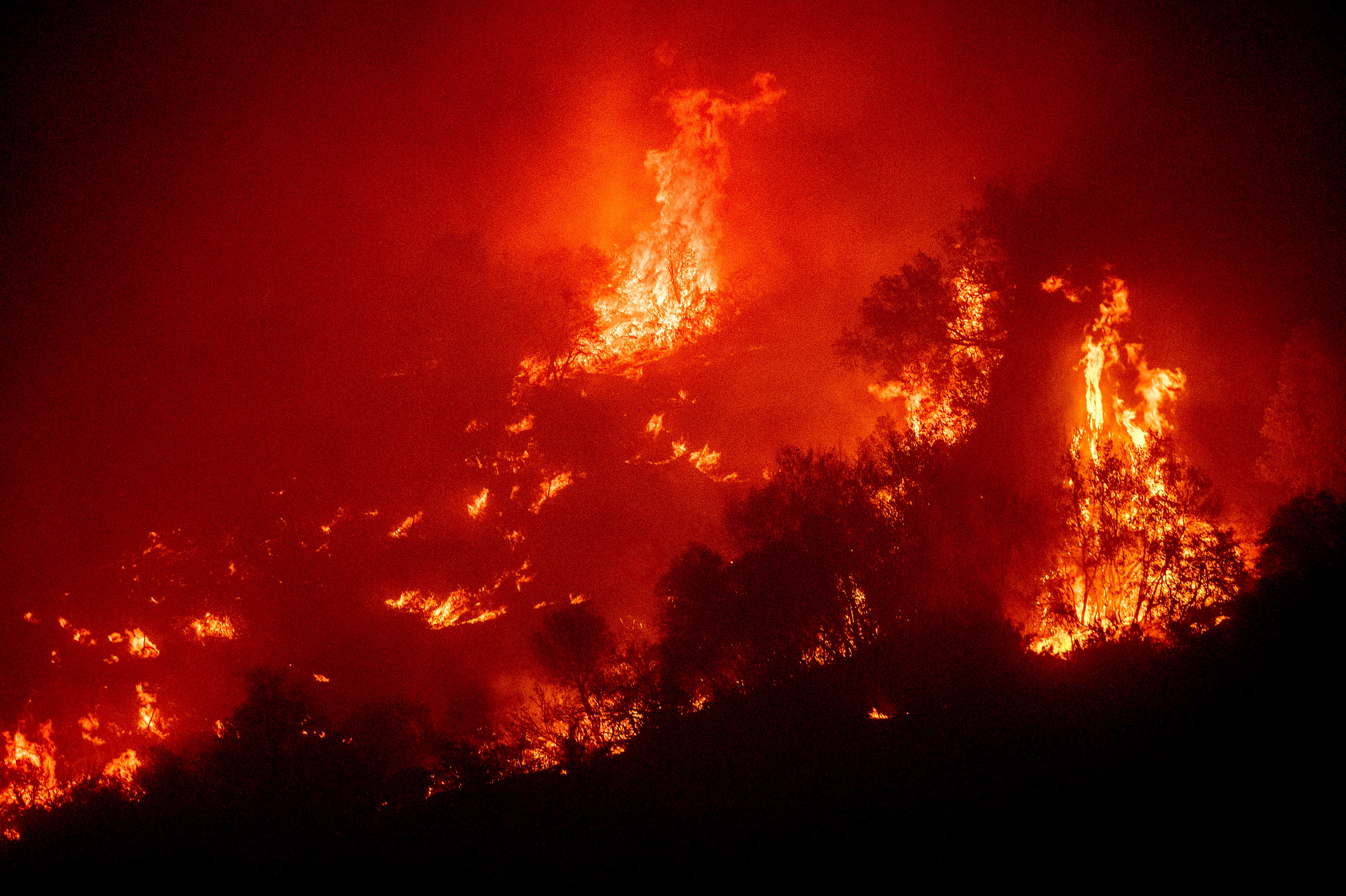 Лесной пожар в калифорнии. Лесные пожары в Калифорнии. Пожары в Калифорнии (2018). Секвойя пожар. Пожары в США фото.