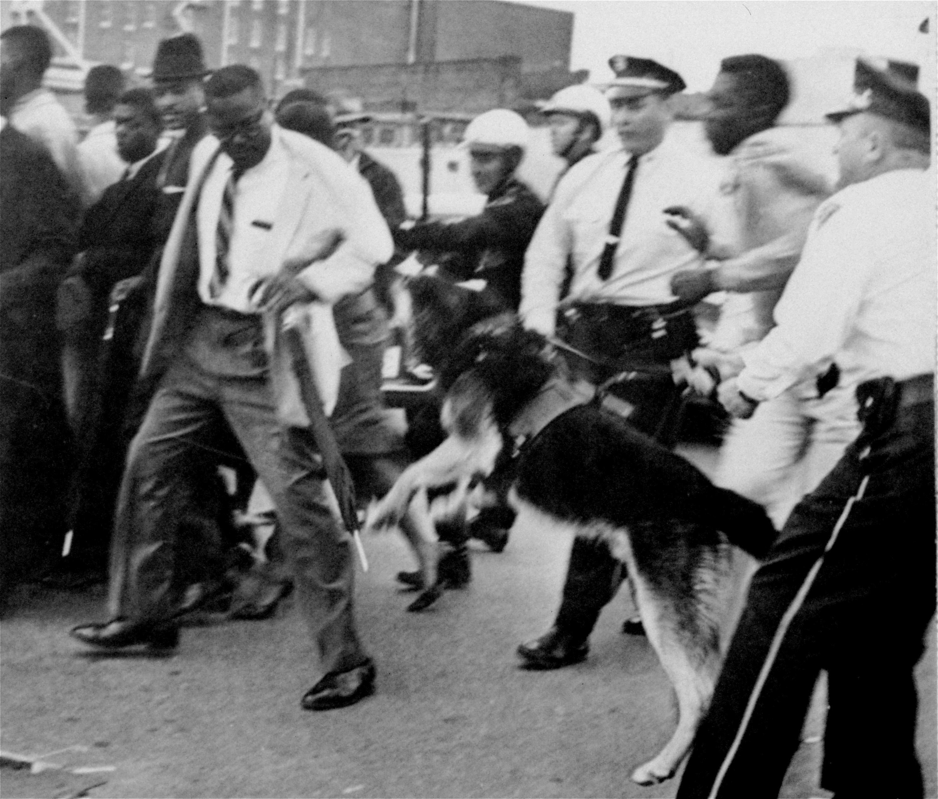 A policeman orders his dog to attack an African American standing in front of the police court shortly before nine African American college students went on trial for sitting in at a white city library, March 29, 1961, in Jackson, Miss.