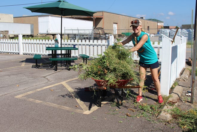Malea Hendrickson, who volunteered with First National Bank at Literacy Council of Western Arkansas for United Way Day of Caring, picks up branches and weeds while cleaning up the outdoor classroom.