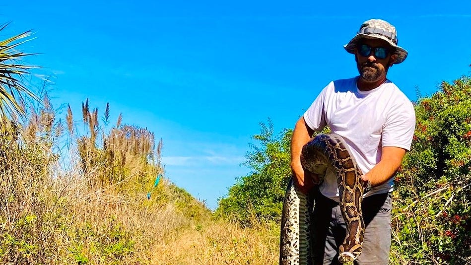 Conservancy Science Project Manager Ian Bartoszek with the Conservancy of Southwest Florida holds a 16-foot female Burmese python while one of the group's 