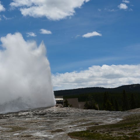 Old Faithful geyser in Yellowstone National Park.