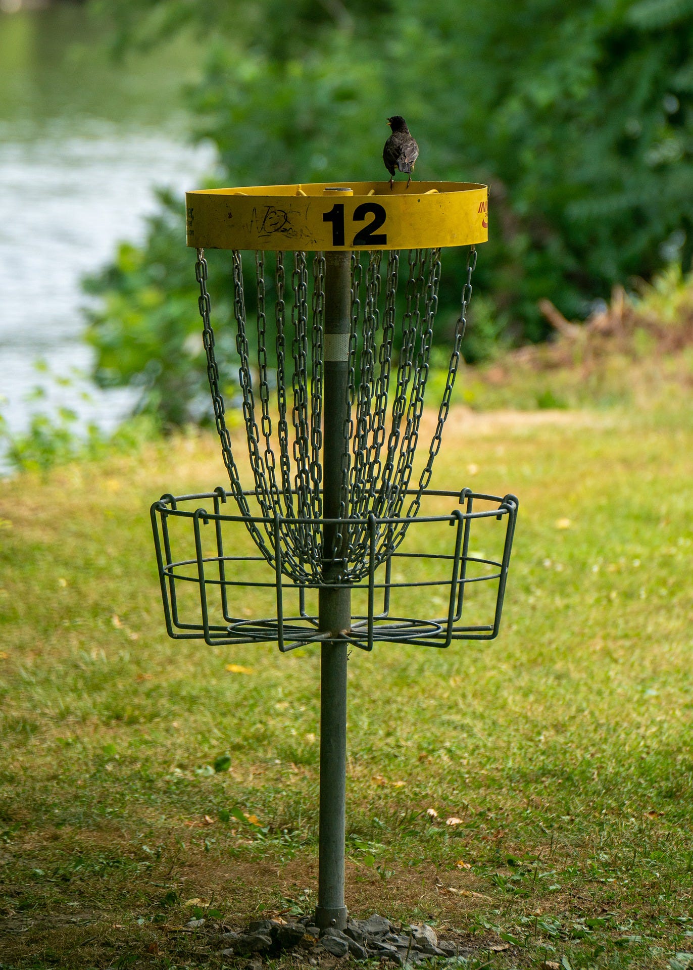 The best Ohio disc golf courses near me