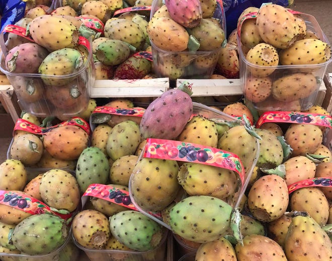 Το φραγκόσυκο, i fichi d'india, ένα φυτό που εισήγαγαν οι Ισπανοί στη Σικελία, το απολαμβάνουν και το αγαπούν σε όλο το νησί.