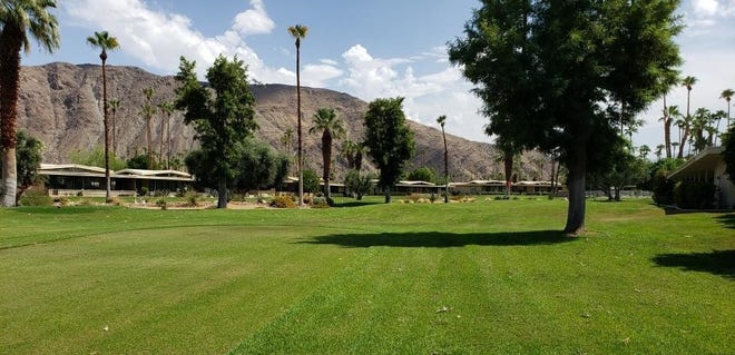Canyon Estates Homeowners' Association in Palm Springs voted to end fall lawn "scalping" and overseeding for fall 2021 to help conserve water in response to the state drought. The Desert Water Agency is urging others to do the same. Photo taken in late August 2021.