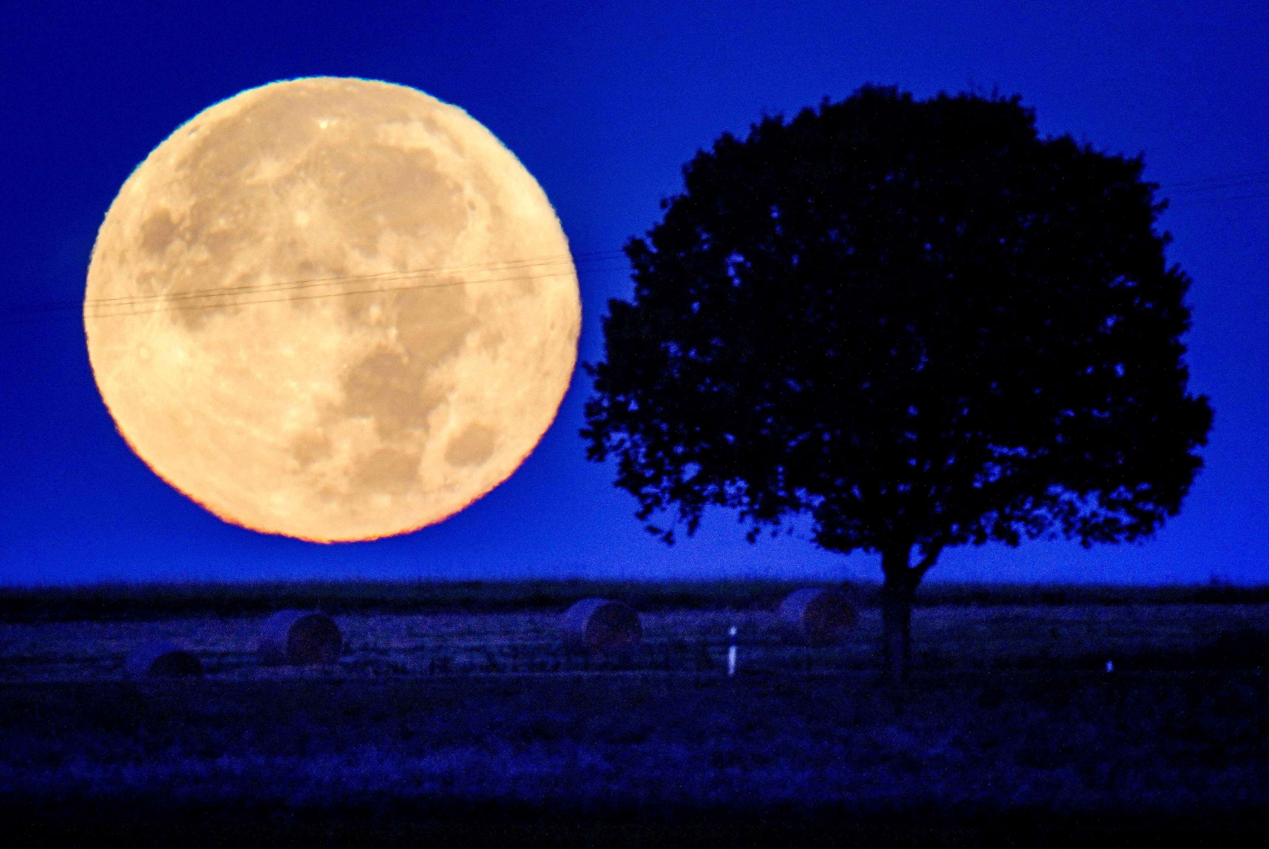 There is a full worm moon rising tonight Here’s when you can see it