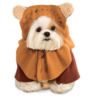 Disney has this pet costume available: an Ewok from Star Wars: Return of the Jedi.