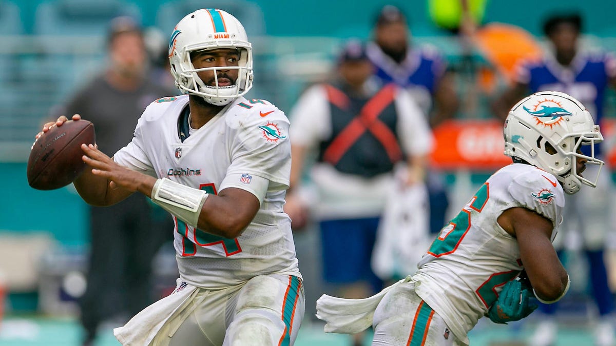 Miami Dolphins Miami Dolphins quarterback Jacoby Brissett (14), in action against Buffalo Bills during NFL game at Hard Rock Stadium Sunday in Miami Gardens.