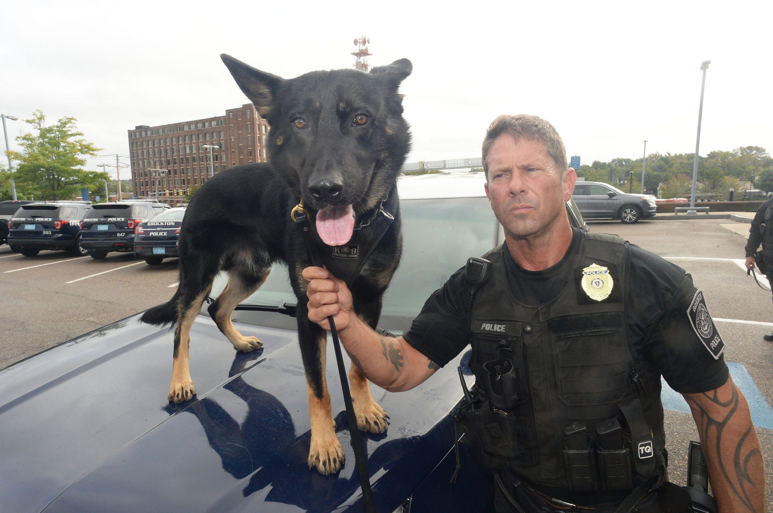 Brockton Police Department two new dogs after 16 weeks in the police academy with Department of Correction head trainer Sergeant Bob Diliddo ,  and K9 Kilo  on Friday, Sept. 24, 2021.
