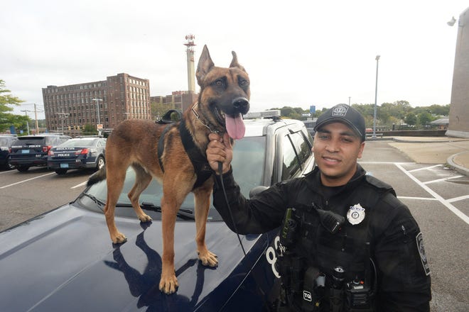 Brockton Police Department two new dogs after 16 weeks in the police academy with Department of Correction Police Officer Miguel-Otero, and K9 Hawk on Friday, Sept. 24, 2021.
