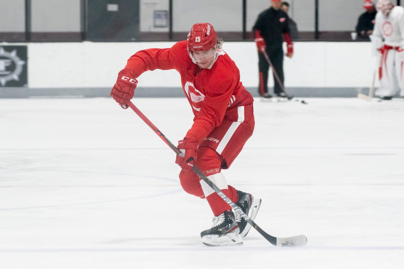 Jakub Vrana of the Wings will seek another opinion on his injured shoulder.