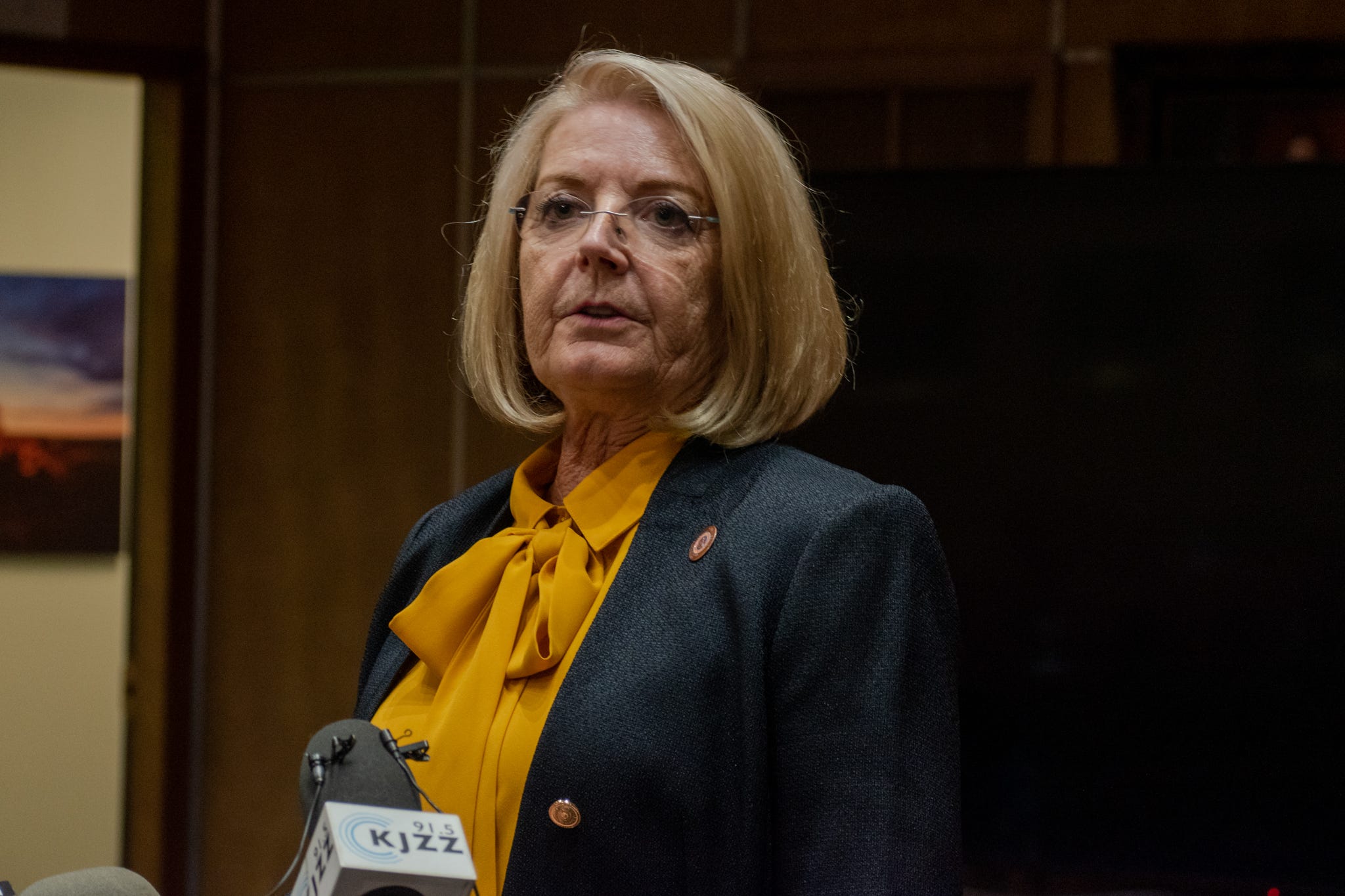 Karen Fann said she wanted a ballot review that would inspire broad public confidence and stand as a template for others.