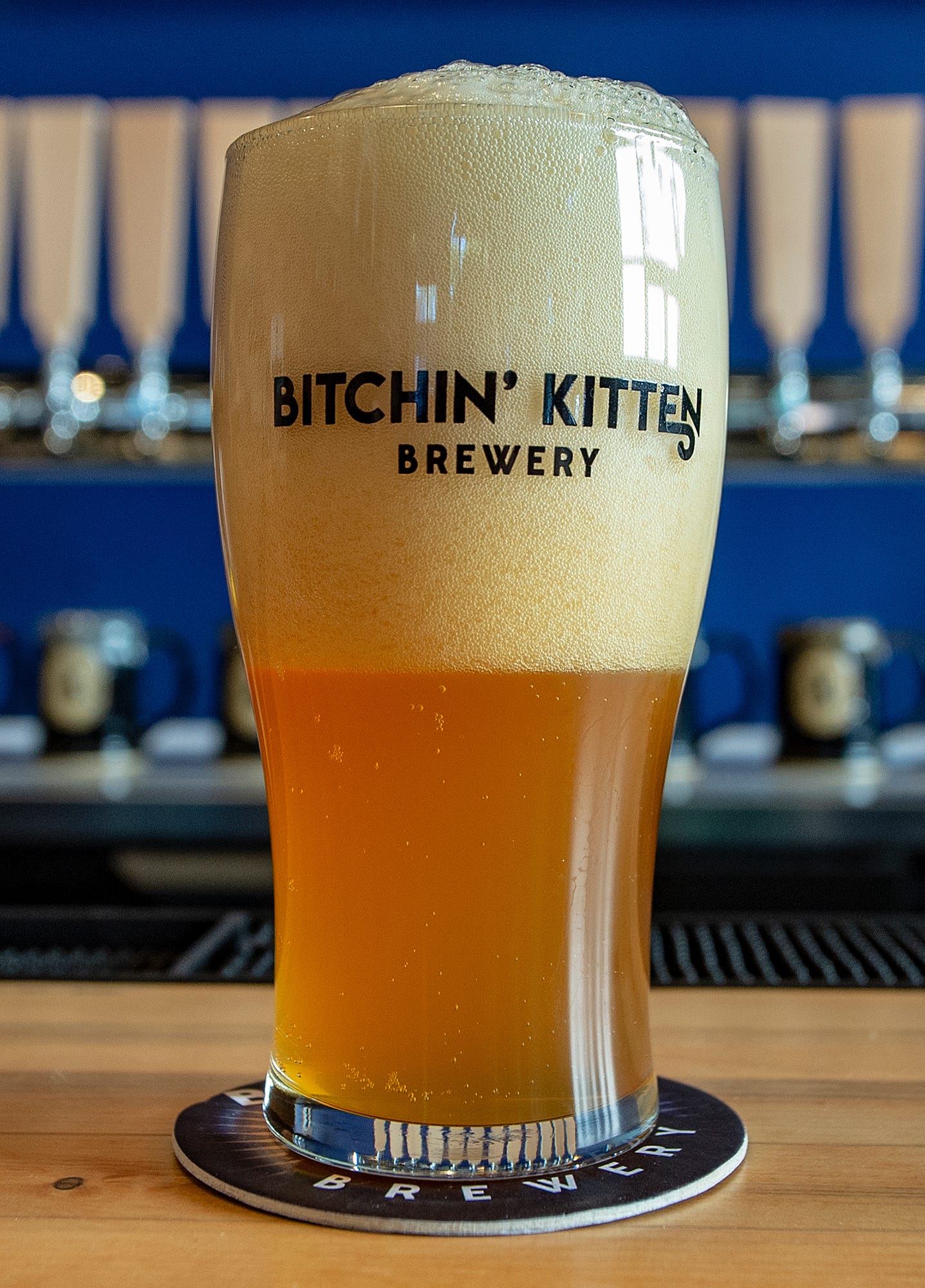 Bitchin' Kitten brewery in Morrisville celebrates craft beers and cats