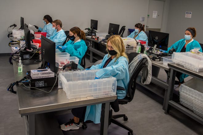 Lab technicians sort and catalog hundreds of DNA samples at Reditus Laboratories, 200 Enterprise Dr., in Pekin.