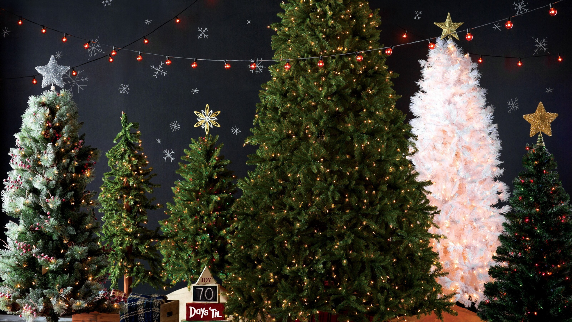 Christmas Tree Prices 2021 Real