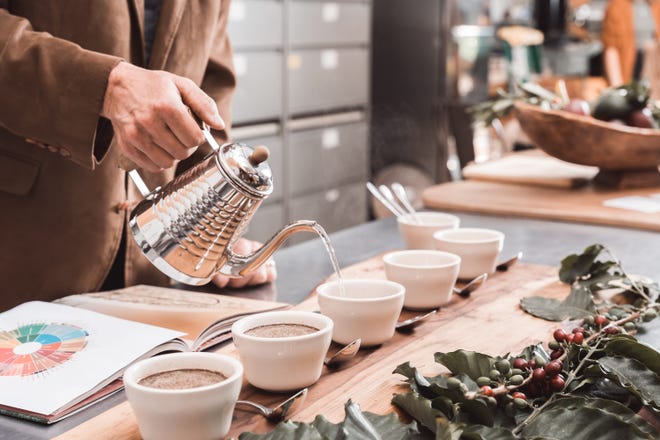 Fundada en 2017, Frinj Coffee ofrece una selección de cafés especiales raros del centro y sur de California a un precio de $ 50 a $ 80 por bolsa de 5 onzas. Actualmente, más de 70 fincas cafetaleras han plantado más de 100,000 cafetos en el centro y sur de California.