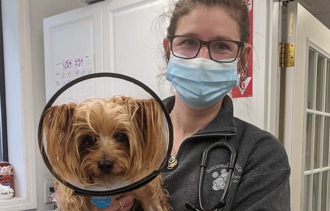 Dr. Jackie Celmer visits with a pet who underwent an almost five-hour surgery.