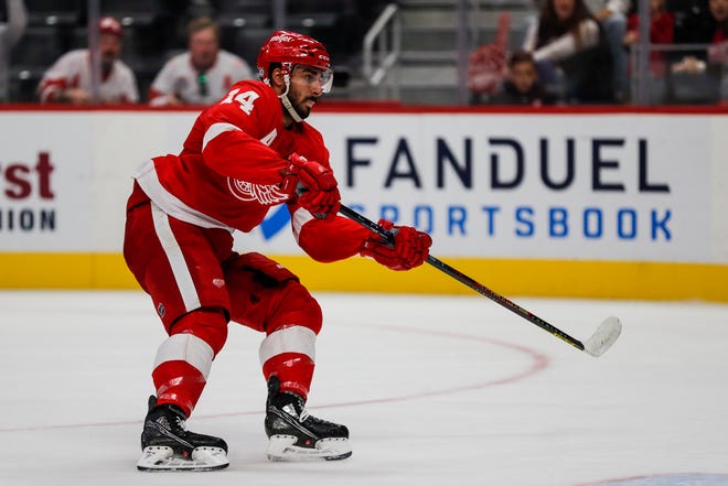 Detroit Red Wings 2021-22 picks: Will Raymond or Seider break ...