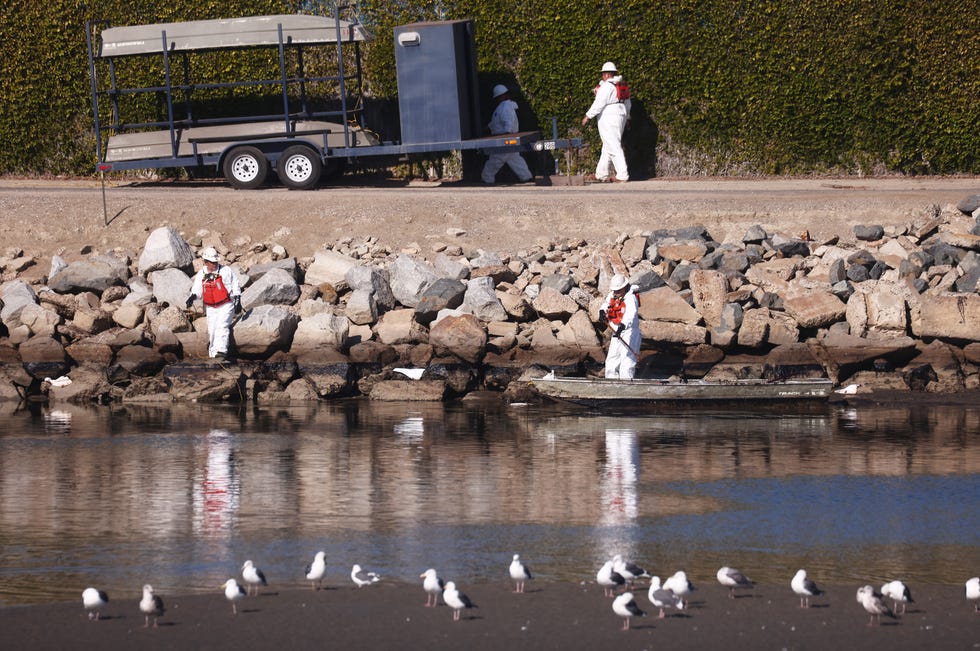 Cleanup workers attempt to contain oil which seeped into Talbert Marsh, home to around 90 bird species, after a 126,000-gallon oil spill from an offshore oil platform on October 3, 2021 in Huntington Beach, California.