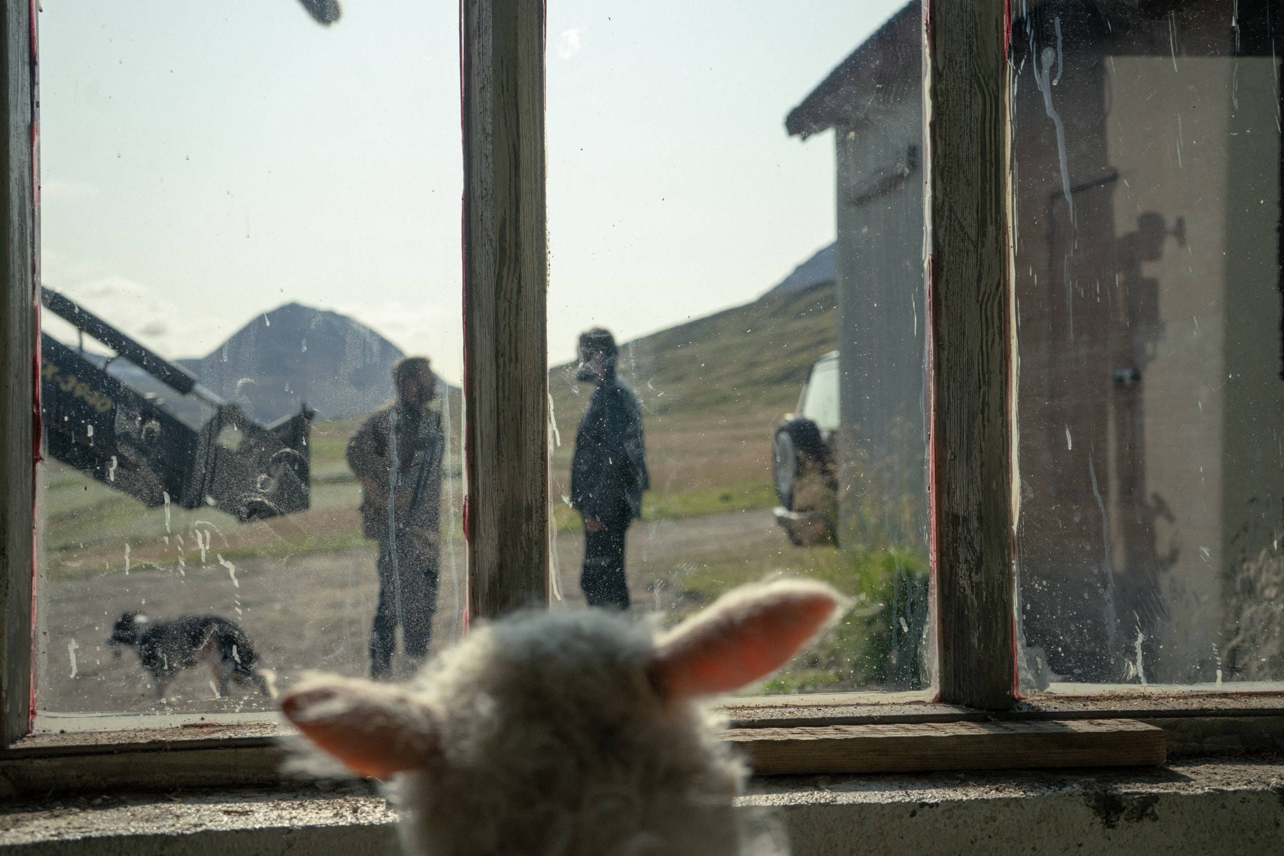 Movie lamb Lamb Trailer:
